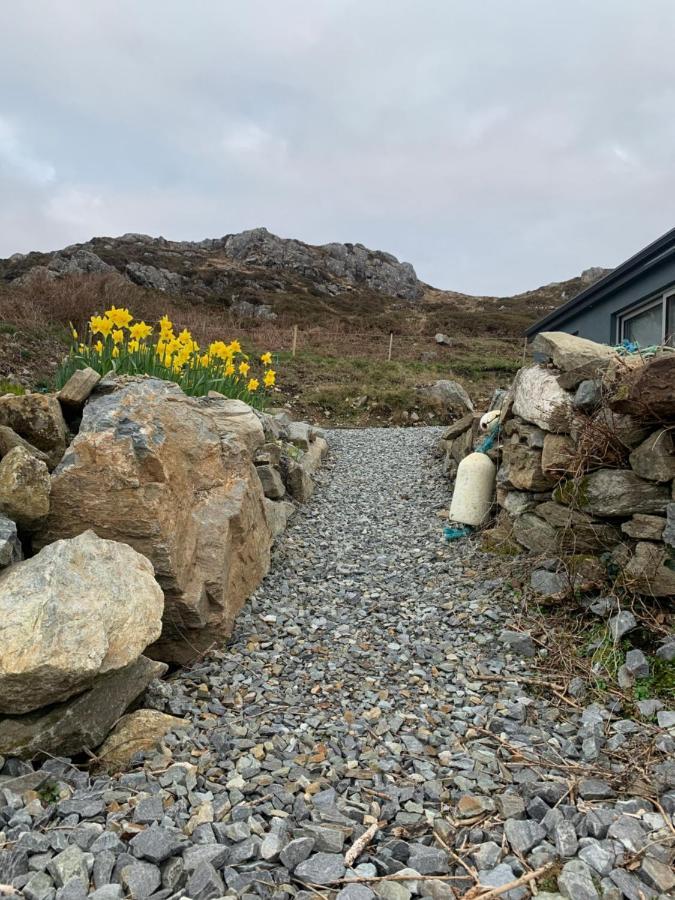 Vila Mary'S Seaview Clifden Galway Exteriér fotografie