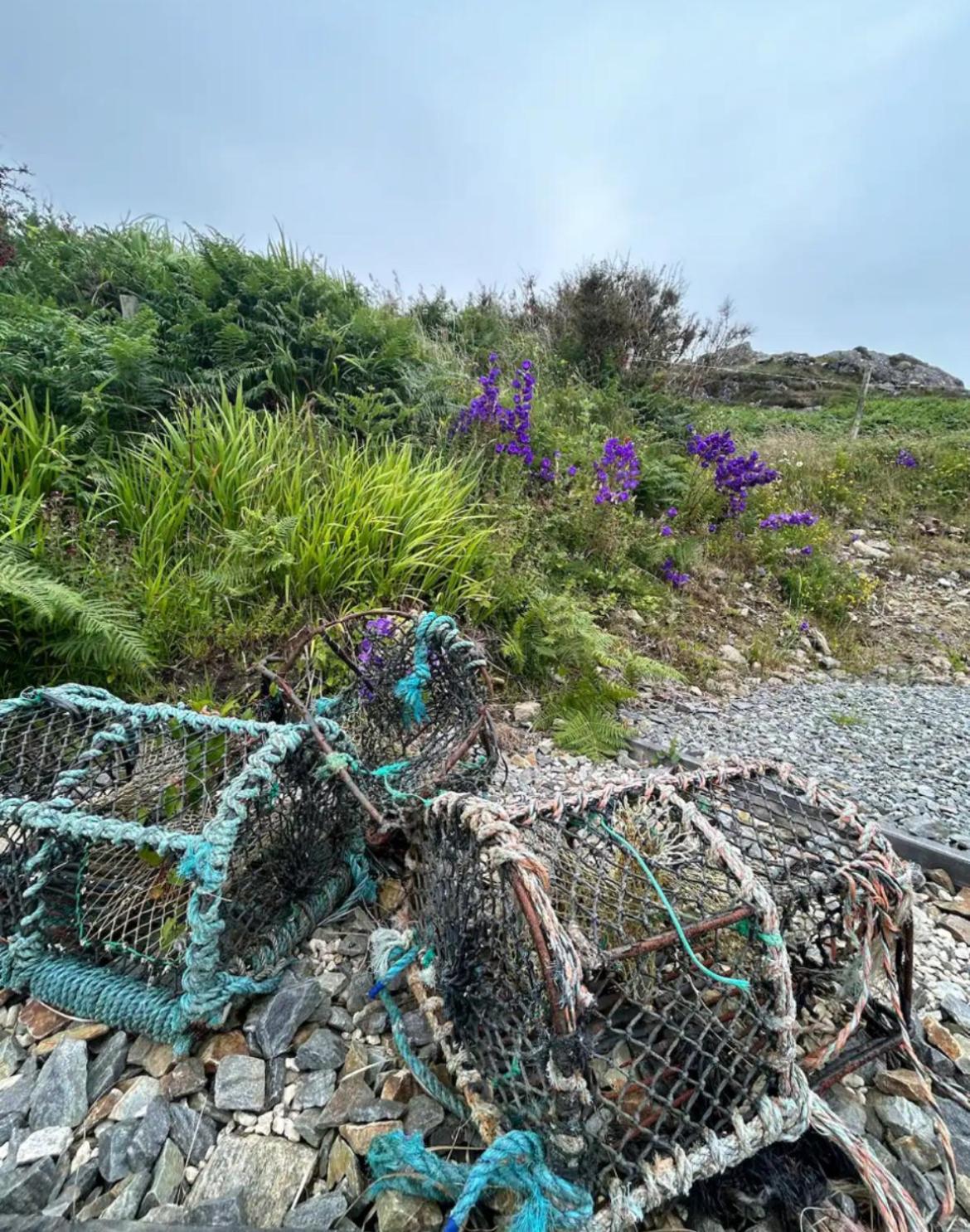 Vila Mary'S Seaview Clifden Galway Exteriér fotografie