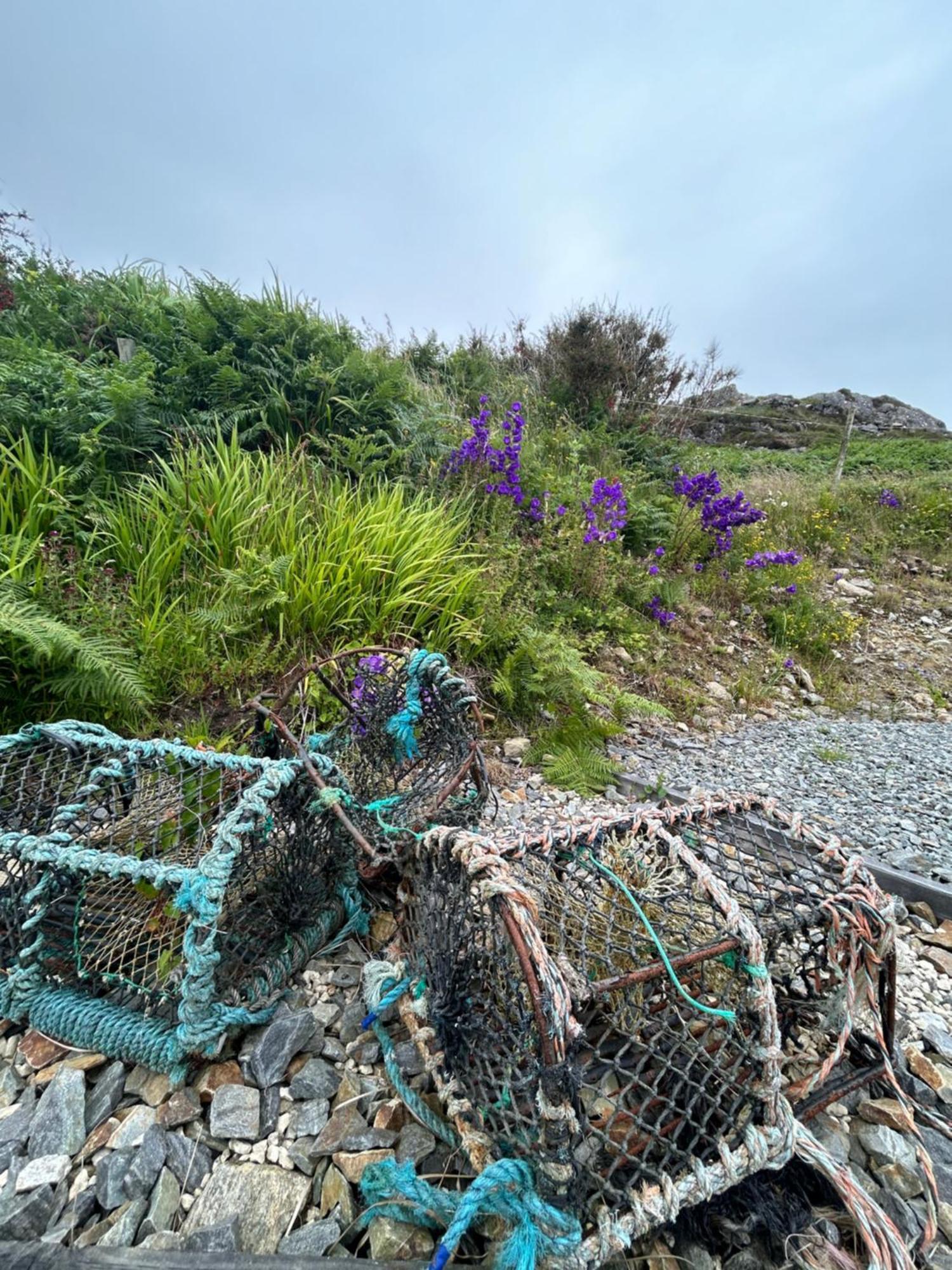 Vila Mary'S Seaview Clifden Galway Exteriér fotografie